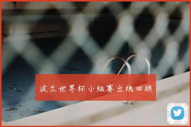 波兰世界杯小组赛出线回顾
